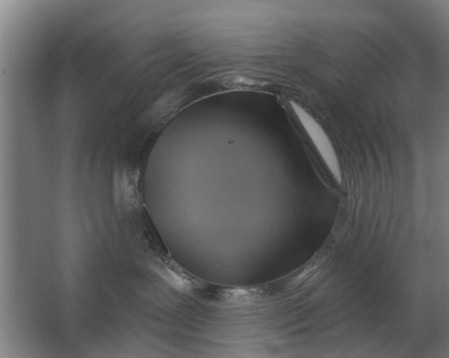 X0000062910239200601271747