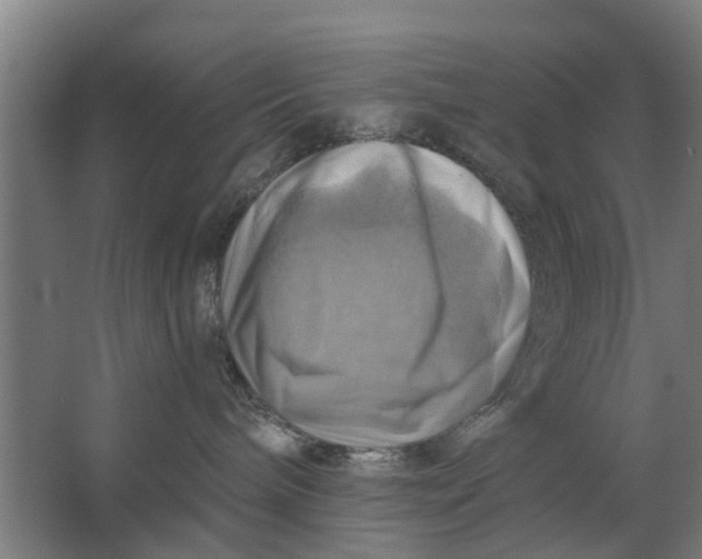 X0000062910240200601271747