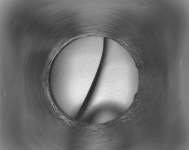 X0000062910241200601271747