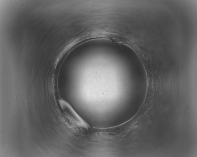 X0000062910244200601271747