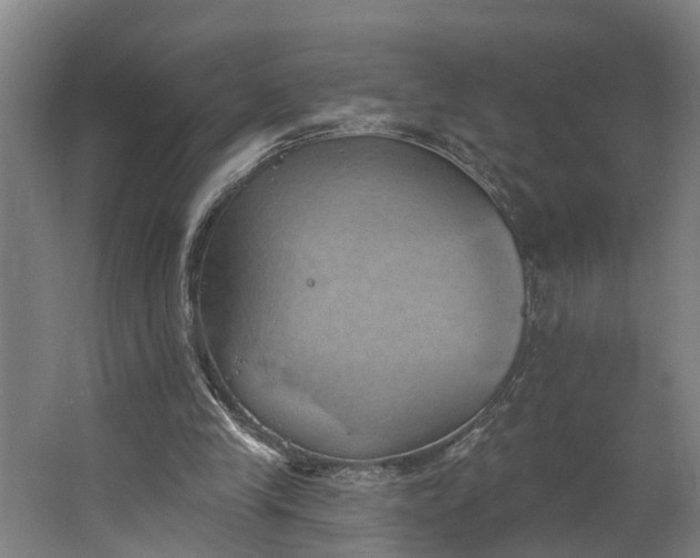 X0000062910245200601271747