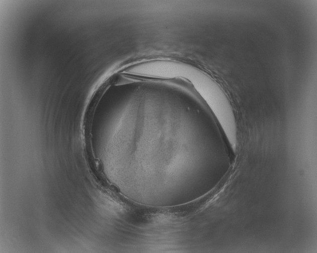 X0000062910246200601271747