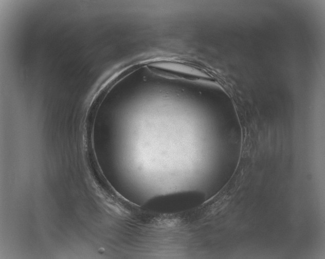 X0000062910247200601271747