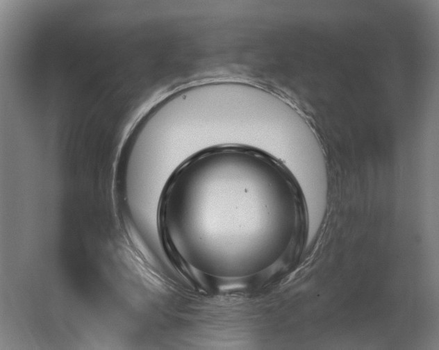 X0000062910248200601271747