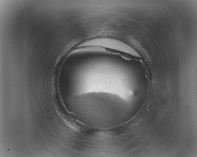 X0000062910250200601271747