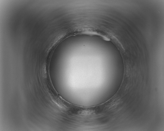 X0000062910251200601271747