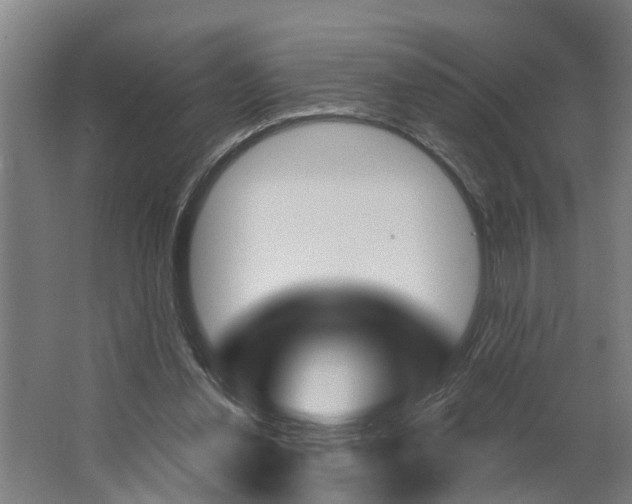 X0000062910252200601271747