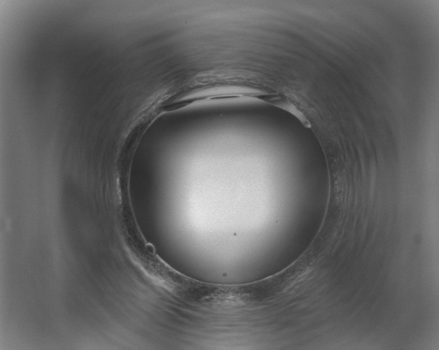 X0000062910254200601271747