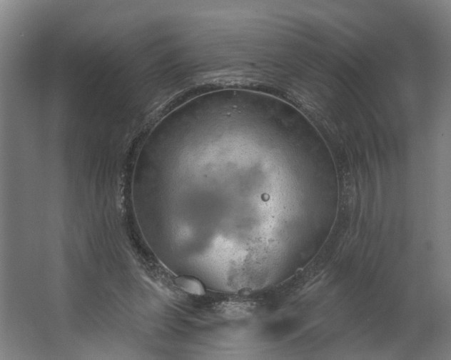 X0000062910255200601271747