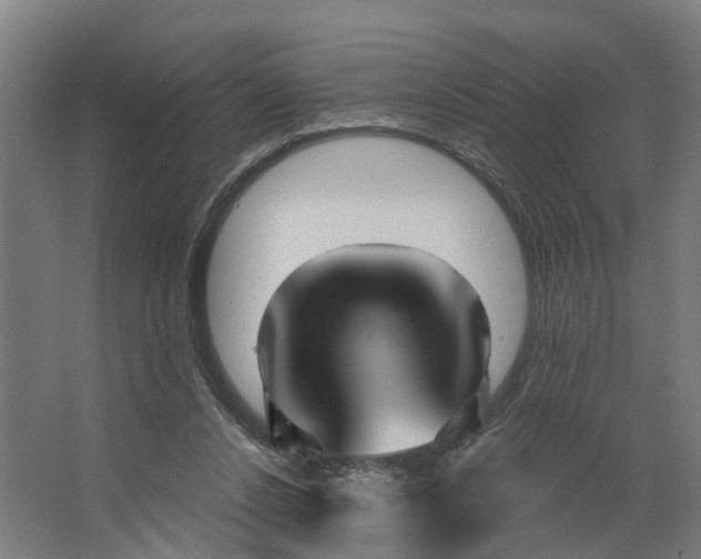 X0000062910256200601271747