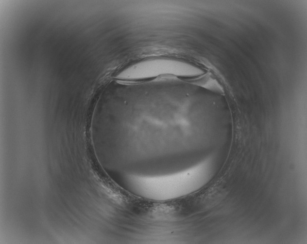 X0000062910257200601271747