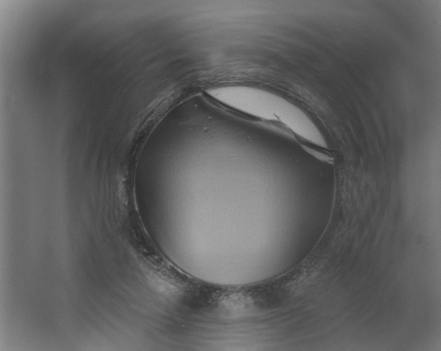 X0000062910258200601271747