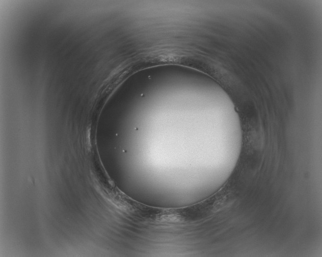 X0000062910262200601271747