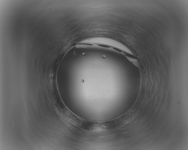 X0000062910263200601271747