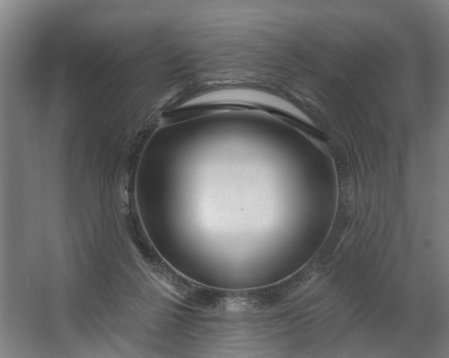 X0000062910264200601271747