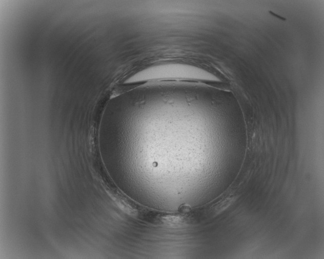 X0000062910265200601271747