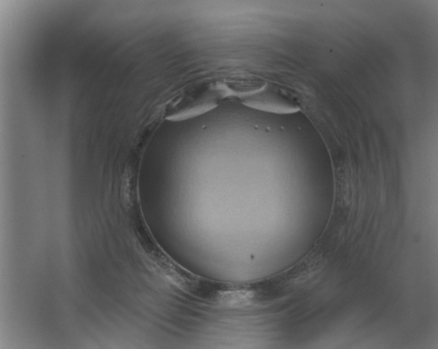 X0000062910266200601271747