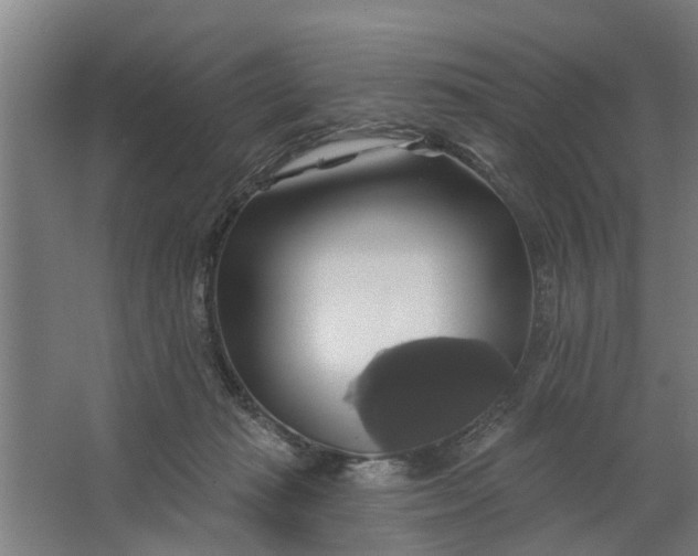 X0000062910269200601271747