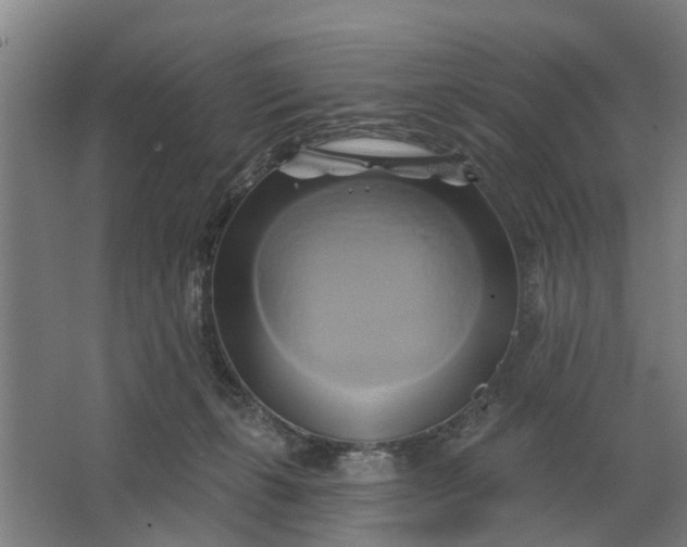 X0000062910271200601271747