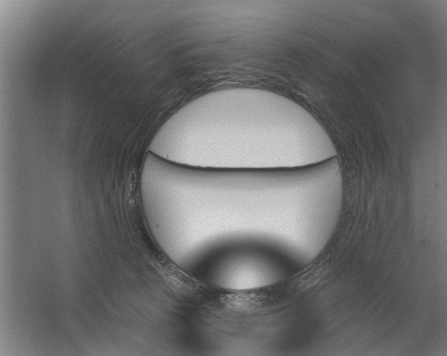 X0000062910273200601271747