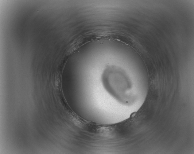 X0000062910277200601271747