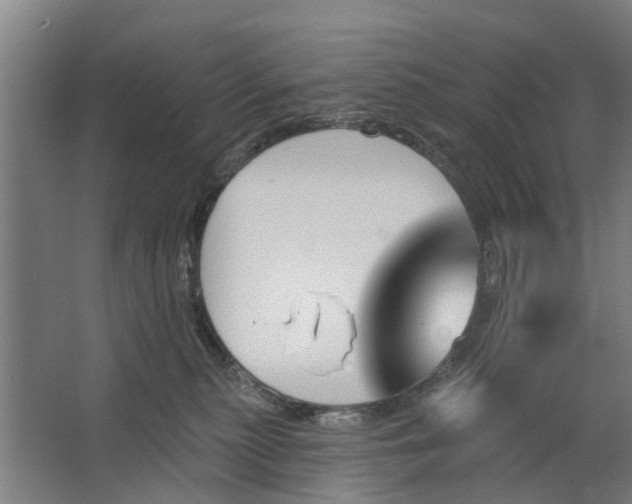 X0000062910279200601271747