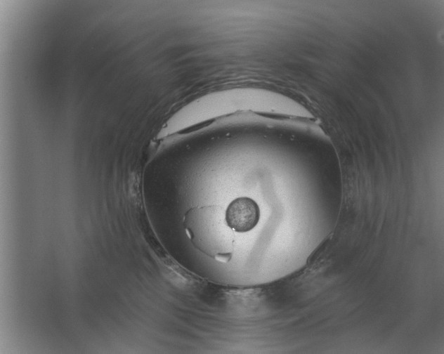 X0000062910281200601271747