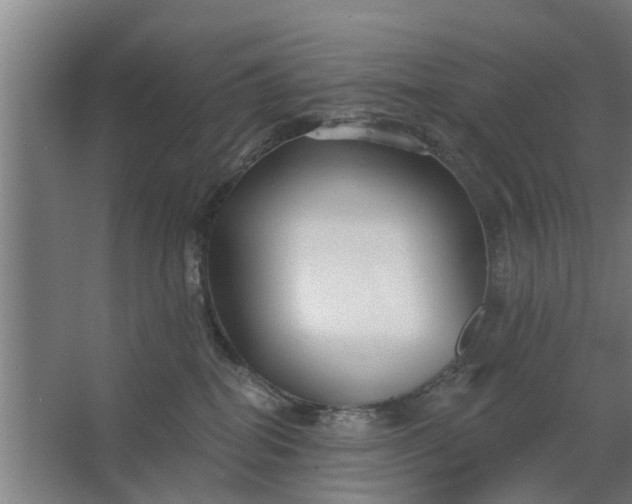 X0000062910282200601271747