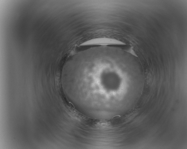 X0000062910283200601271747