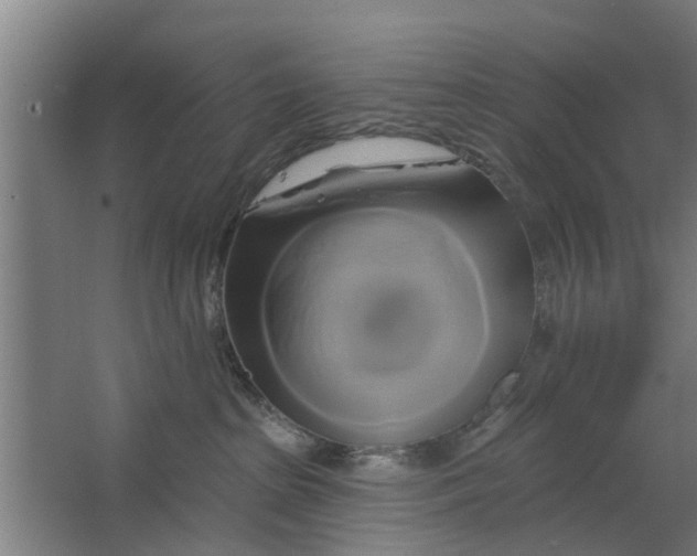 X0000062910285200601271747