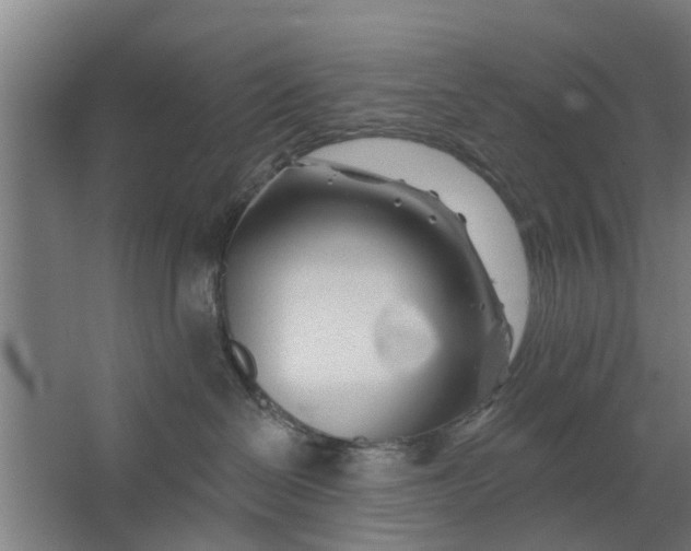 X0000062910286200601271747