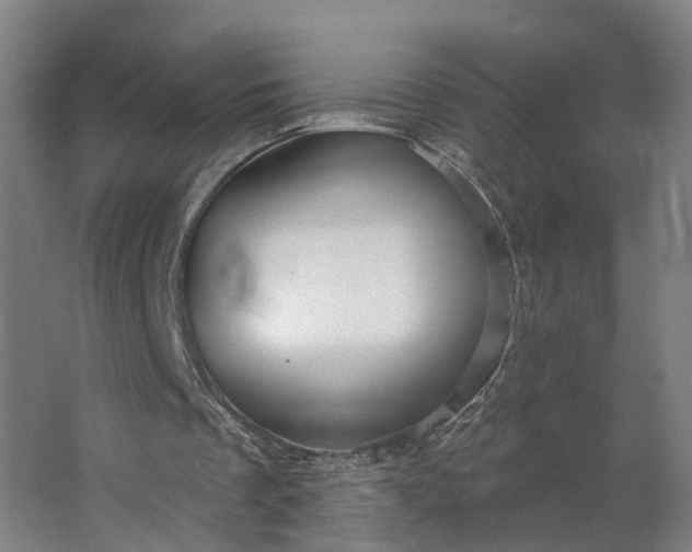 X0000062910289200601271746