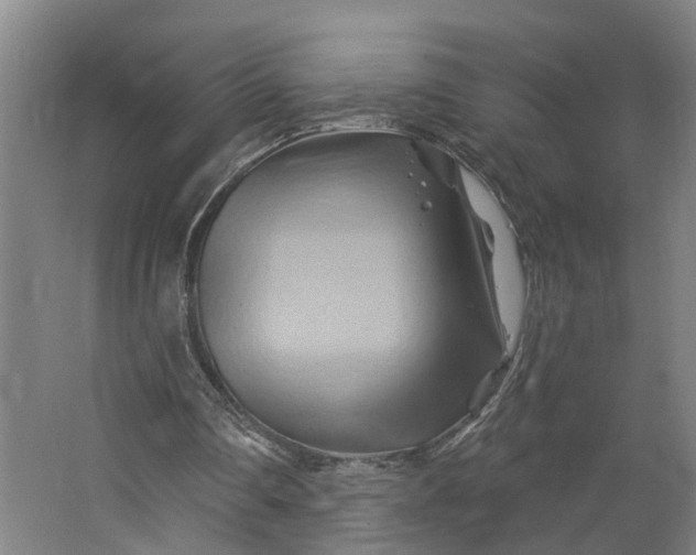 X0000062910290200601271746