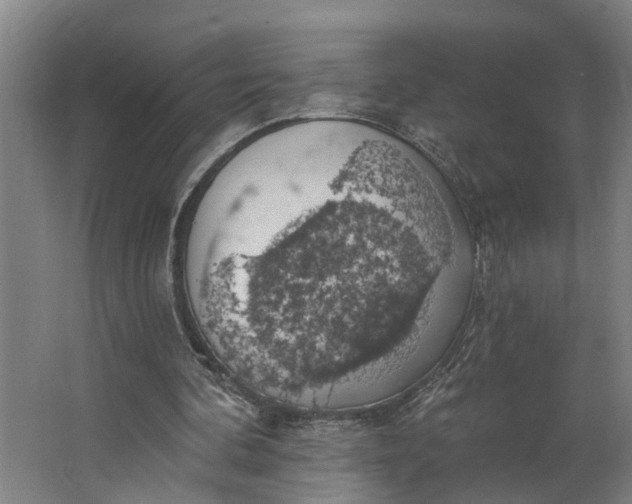 X0000062910292200601271746