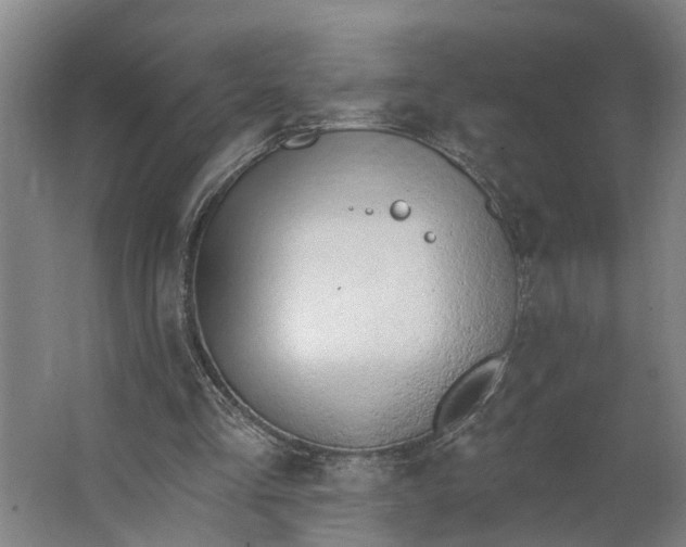 X0000062910293200601271746