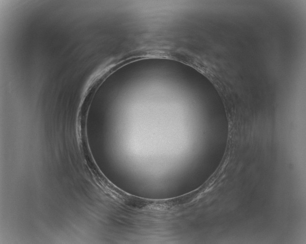 X0000062910294200601271746