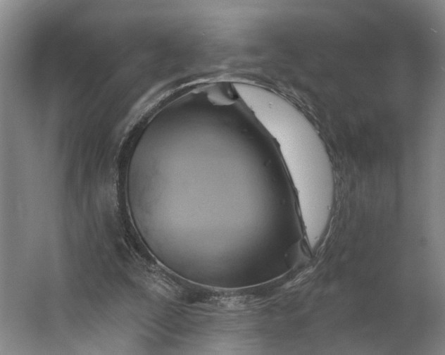 X0000062910295200601271746