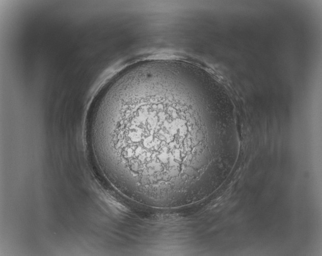 X0000062910296200601271746