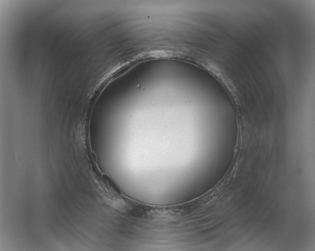 X0000062910297200601271746