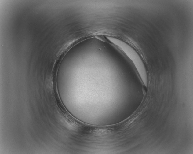 X0000062910298200601271746