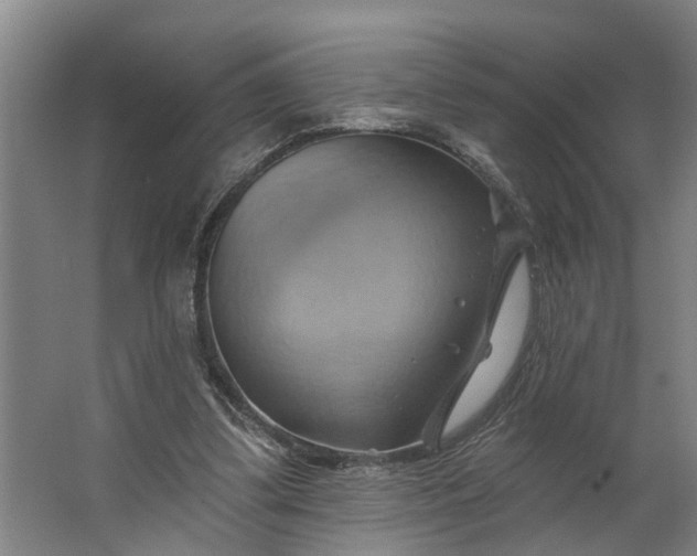 X0000062910299200601271746