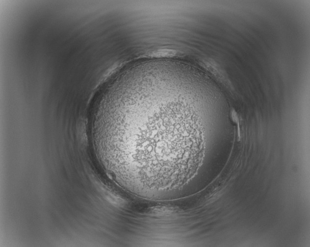 X0000062910300200601271746