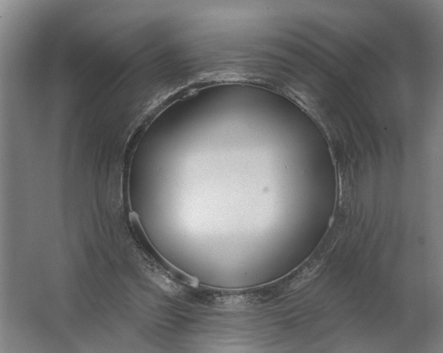 X0000062910301200601271746