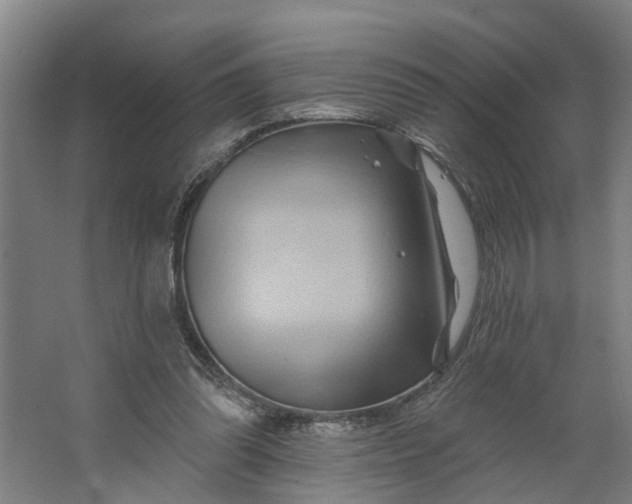 X0000062910302200601271746