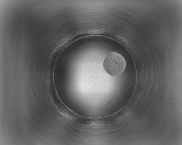 X0000062910303200601271746