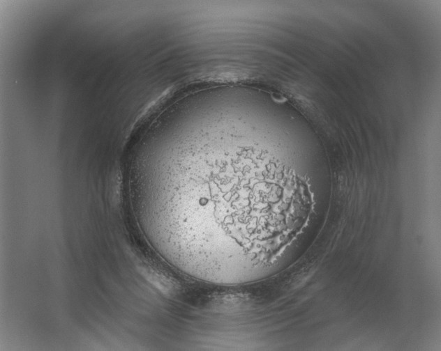 X0000062910304200601271746