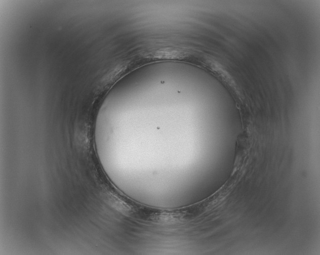 X0000062910305200601271746