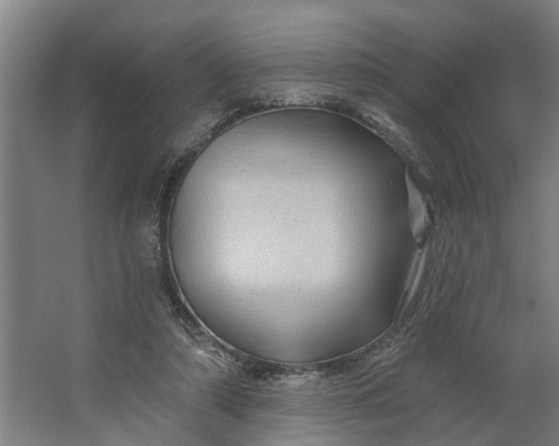 X0000062910306200601271746