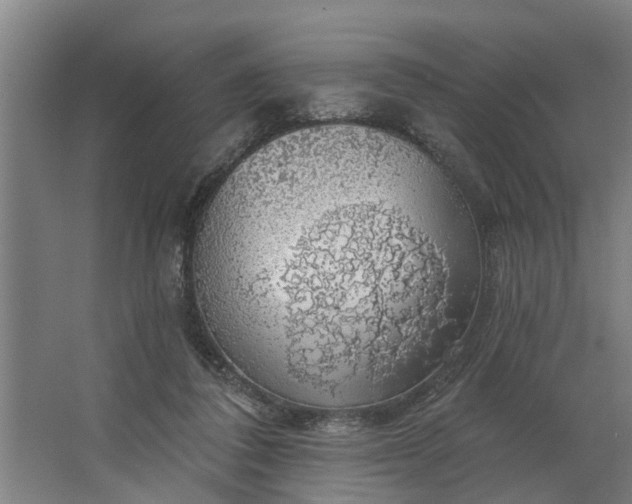 X0000062910308200601271746