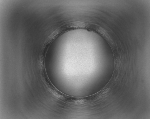 X0000062910309200601271746